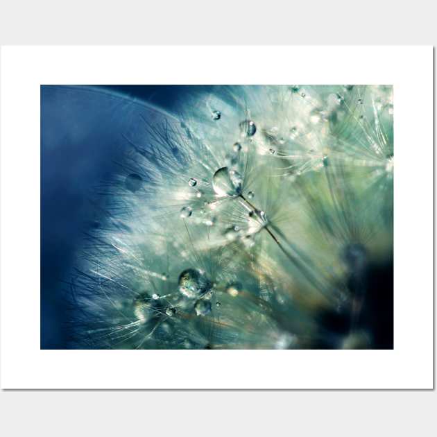 Dandelion Drama Wall Art by micklyn